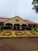 020 Hawaii - Inselrundfahrt Oahu