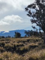 045b Hawaii - Big Island - Blick auf den Vulkan Mauna Kea.jpg