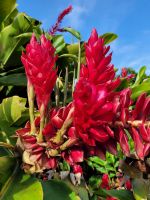 054 Hawaii - Big Island