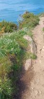 Wanderweg