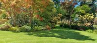 wundervolle Gartenanlage