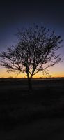 35 Gute Nacht aus Namibia