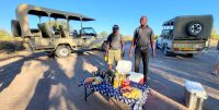 205 Sundowner 