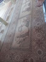 Rundreise Zypern // Mosaikausgrabung Paphos