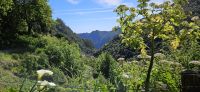 auf dem Weg zu Balcoes