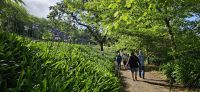 Palheiro Garden