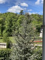 Park in Cetinje