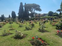 Rom - Aventinhügel (Rosengarten)