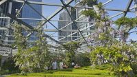 Ein Garten in der 15. Etage 