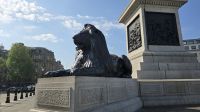 Morgenspaziergang über den Trafalgar Square 