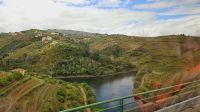 Douro-Kreuzfahrt mit Lissabon // Ausflug nach Lamego