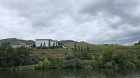 Douro-Kreuzfahrt mit Lissabon // unterwegs mit A-Rosa Alva