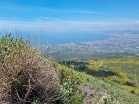 Aufstieg auf den Vesuv... (Golf von Neapel)