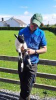Atlantic Sheep Dogs