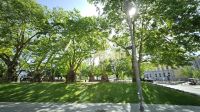 Douro-Kreuzfahrt mit Lissabon // João Chagas Park in Porto