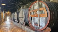 Douro-Kreuzfahrt mit Lissabon // Besuch der Portweinkellerei von Burmester