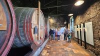 Douro-Kreuzfahrt mit Lissabon // Besuch der Portweinkellerei von Burmester