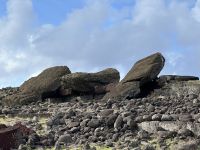 Osterinsel - umgekippte Moai