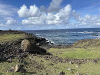 IMG_2671.jpeg