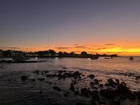 Galapagos - San Cristobal  - Seelöwen