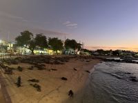 Galapagos - San Cristobal  - Seelöwen