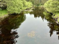 3. Reisetag – Wanderung im Glenveagh-Nationalpark – Mein Goldschatz