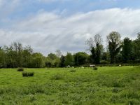 3. Reisetag – Rundfahrt durch das County Donegal – Fotostopp am Doe Castle