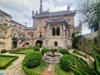 Bussaco Palacio 3