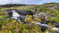 Connemara