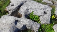 Burren