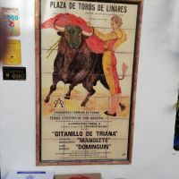 Stierkämpfe gehören zum Glück nicht zu unserem Programm