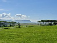 5. Reisetag – Wanderung auf der Halbinsel Mullaghmore – Blick zum Ben Bulben