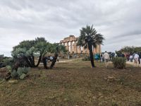 Marsala - mit 270 ha größte Ausgrabungsstätte Italiens