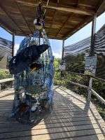 Insel Isabela - Schildkrötenzentrum - alles aus dem Meer