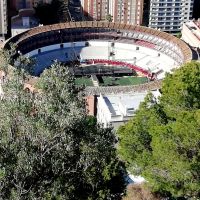 Blick in die Stierkampfarena von Malaga