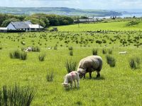 4. Reisetag – Ausflug nach Nordirland – Zusatzwanderung zum Runkerry Beach