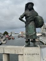 Aveiro (9)