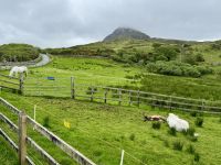 7. Reisetag – Wanderung im Connemara-Nationalpark