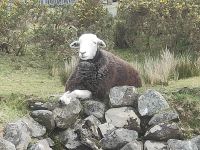 Inagh Valley