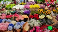 Dublin Blumenstand