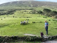 10. Reisetag – Ring of Kerry – Besuch beim Schäfer Tom