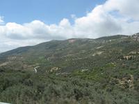 Ajlun - grüne Landschaft