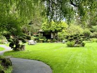 11. Reisetag – Führung durch das Irische Nationalgestüt – Japanischer Garten