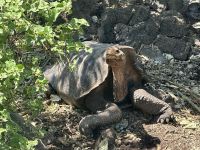 Charles-Darwin-Forschungsstation