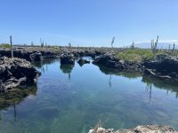 Galapagos  - Insel Isabela - Los Tuneles