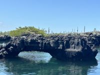 Galapagos  - Insel Isabela - Los Tuneles