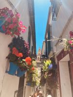 Spanien, Córdoba, Gasse der Blumen