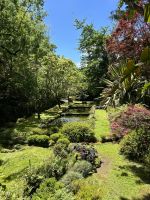 Ganztagesausflug nach Furnas: Terra Nostra