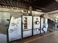 Ganztagesausflug nach Furnas: Teeplantage