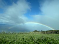 Ganztägige Inselrundfahrt auf Faial